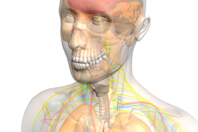 Biota MOA Video Animation