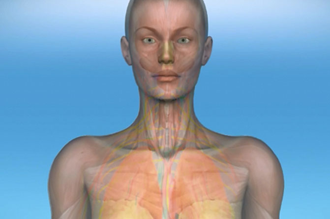 Genomic Vision MOA 3D Animation